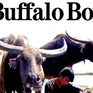 The Buffalo Boy photo 1