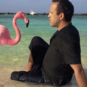 mystery of the pink flamingo the 2020