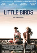 Little Birds poster image