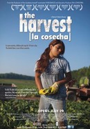 The Harvest poster image