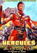 Hercules and the Princess of Troy poster image