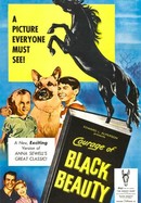 Courage of Black Beauty poster image