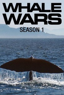 Whale Wars - Rotten Tomatoes