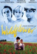 Wildflower poster image