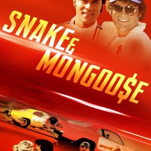 Snake and Mongoose photo 2