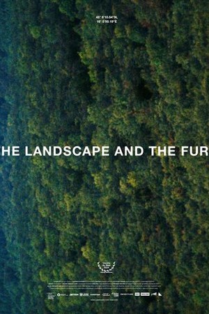 The Landscape and the Fury poster