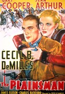The Plainsman poster image