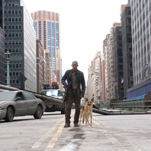 A scene from the film "I Am Legend." photo 19