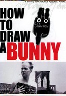 How to Draw a Bunny poster image