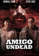 Amigo Undead poster image