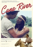 Cane River poster image