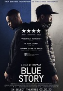 Blue Story poster image