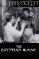 The Egyptian Mummy