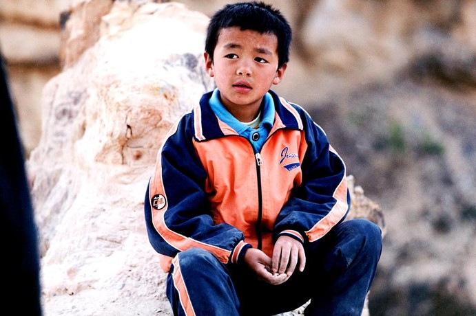 Yang Zhenbo Pictures | Rotten Tomatoes