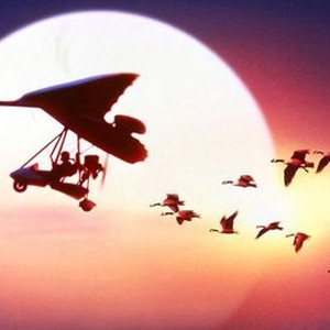 "Fly Away Home photo 4"