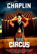 The Circus poster image