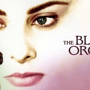 The Black Orchid photo 8