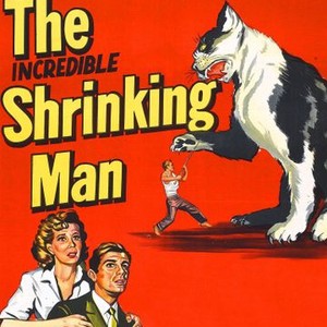 The Incredible Shrinking Man photo 2
