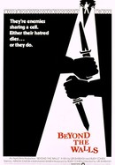 Beyond the Walls poster image
