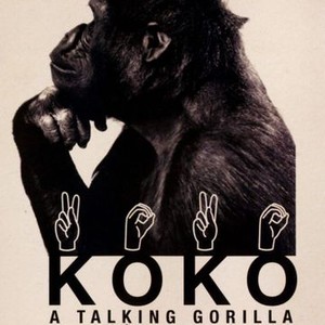 Koko: A Talking Gorilla photo 2