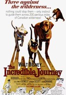 The Incredible Journey poster image