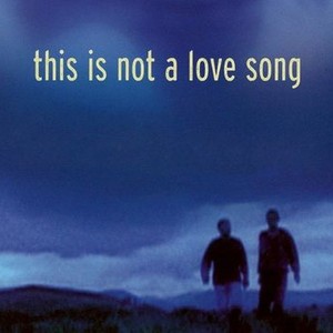 This Is Not a Love Song photo 5