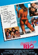Blame It on Rio poster image