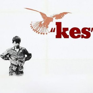 Kes photo 4