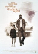 A Perfect World poster image