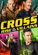 Cross: Rise of the Villains poster image
