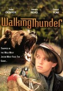Walking Thunder poster image