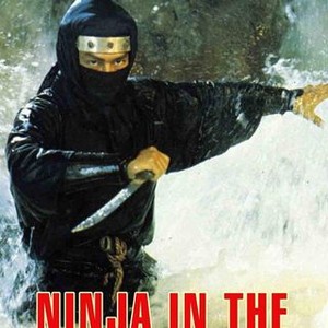 Ninja in the Dragon's Den photo 11