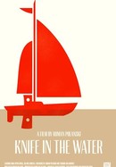 Knife in the Water poster image
