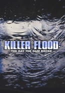 Killer Flood: The Day the Dam Broke poster image