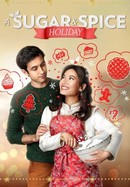 A Sugar & Spice Holiday poster image