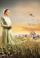 Amish Grace poster image