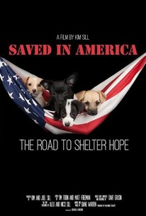 Saved in America