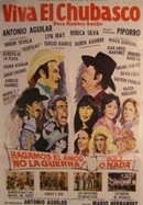 Viva el chubasco poster image