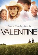 Love Finds You in Valentine poster image