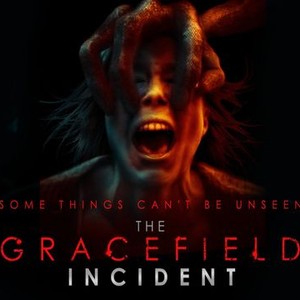 The Gracefield Incident photo 8