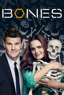 Bones Season 2 Rotten Tomatoes