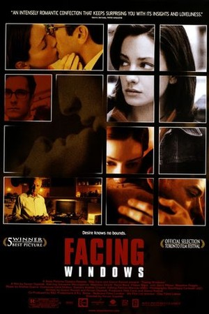 Facing Windows poster