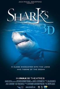 Watch trailer for Sharks
