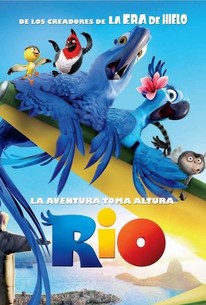 Río (2011) | Rotten Tomatoes