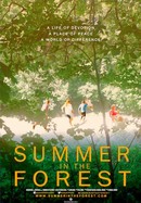 Summer in the Forest poster image