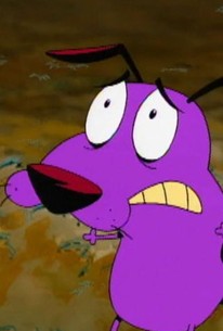 Courage the Cowardly Dog: Season 1, Episode 8 - Rotten Tomatoes