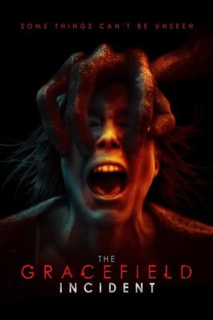 The Gracefield Incident poster