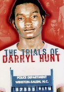 The Trials of Darryl Hunt poster image