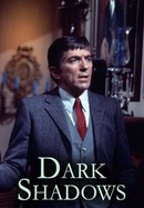 Dark Shadows poster image