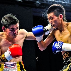 China Heavyweight (2012) photo 10